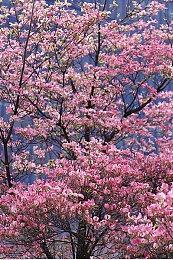 传闻：任天堂可能正在筹划《漫威终极联盟4》